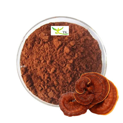 Precio al por mayor 100% natural Ganoderma Lucidum Reishi Polvo de esporas de hongos