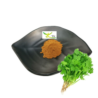 Precio al por mayor Extracto de cilantro natural extracto de cilantro en polvo