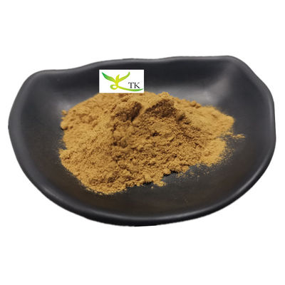 Precio al por mayor Suministro Natural Nasturtium Officinale Extracto de berinjela 10:1 Polvo de berinjela