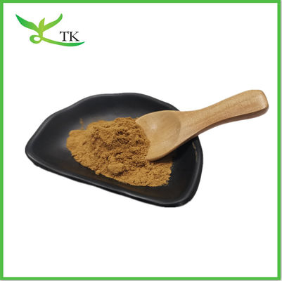 Cordyceps Sinensis 40% Polisacárido Ácido cordycepico Extracto de Cordyceps Sinensis