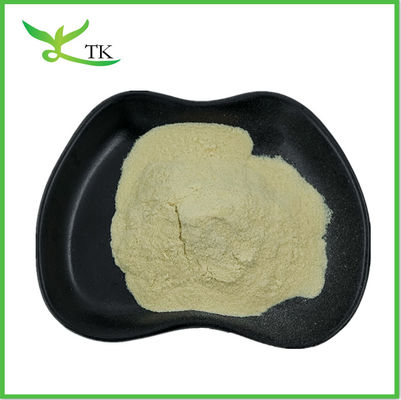 Suministro de suplementos de salud Pólvora de hojas de neem Pólvora de hojas de neem Pólvora de té Pólvora de neem