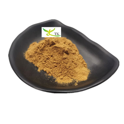 Suplemento natural de hierbas Panax Quinquefolius Extracto en polvo 10:1 20:1 Extracto de ginseng americano en polvo