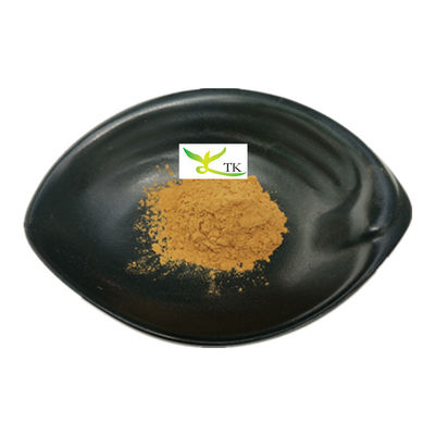 Precio al por mayor Natural Portulaca Oleracea Purslane Extracto de hierbas en polvo Purslane Extracto 10:1