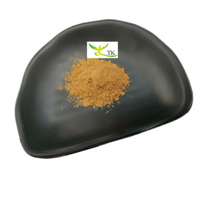 Precio al por mayor Extracto natural de Agaricus bisporus en polvo Polisacáridos 10%~50%