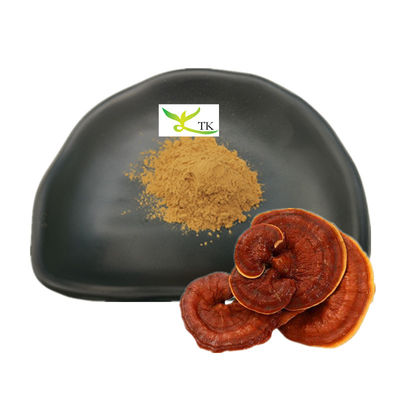 Extracto de Ganoderma Lucidum al por mayor Extracto de hongo Reishi Polisacáridos en polvo 30%