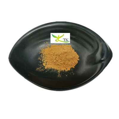 En polvo de frutas de dátiles rojas 100% naturales de origen chino