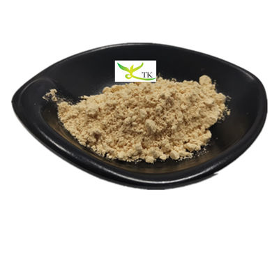 Extracto natural de Tremella Fuciformis en polvo Extracto de hongo de Tremella blanco Polisacáridos 30%