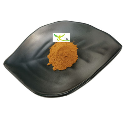 Precio al por mayor Extracto 100% natural de Boletus Edulis Extracto de Penny Bun Extracto en polvo
