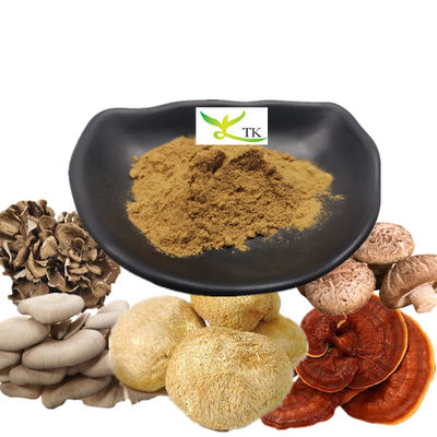 Etiqueta privada pavo cola chaga cordyceps hongo café melena de león hongo polvo de café