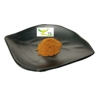 Precio al por mayor Ingrediente natural Pérdida de peso 10:1 20:1 Extracto de hoja de sena en polvo Grado alimenticio