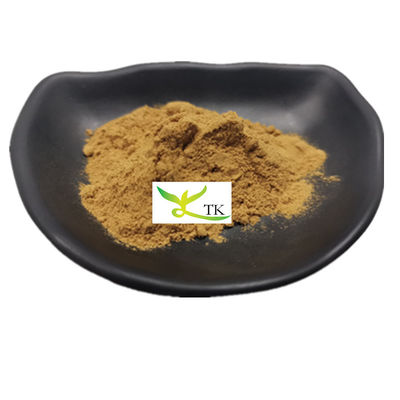Extracto de hongo de salchicha 100% natural Polisacáridos en polvo Extracto de phellinus igniarius