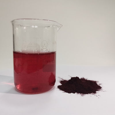 HACCP Factory Best Price Wholesale Natural 25% Extracto de arándanos en polvo Antocianina Soluble en agua
