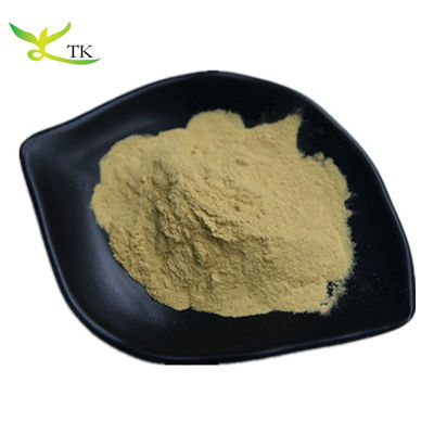 Extracto de raíz 100% natural de Baikal Skullcap Scutellaria Baicalensis Extracto en polvo Baicalin