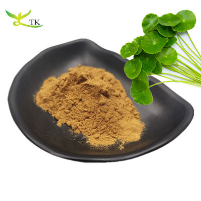 Fábrica profesional mejor precio suministro extracto de Gotu Kola 10% total asiaticosides para cosméticos