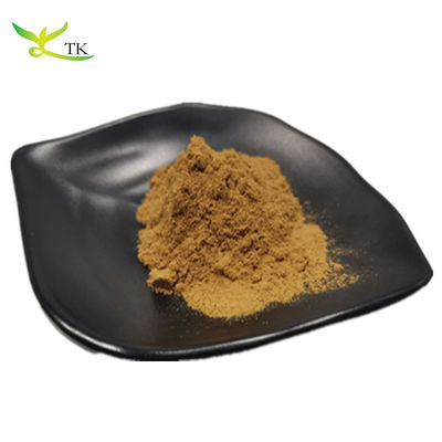 Polvo de extracto vegetal natural Gypenoside 98% Gynostemma Extracto de polvo precio a granel
