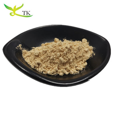 Extracto de raíz de Panax Ginseng 100% natural puro Ginsenosides en polvo 10% ~ 80%