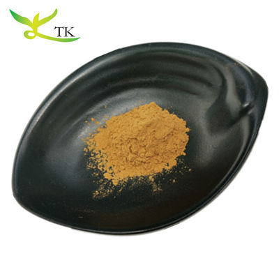 Extracto de hierbas chinas 100% natural Extracto de raíz de astragalos Polvo de extracto de Huangqi