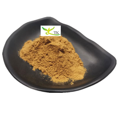 100% de hierba china natural Dang Gui Extracto de Dong Quai Extracto de Ligustilida en polvo
