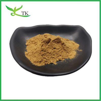 Wholesale Bulk Price Burdock Root Extract Arctiin Powder 10% 30% Suplementos para el cuidado de la salud