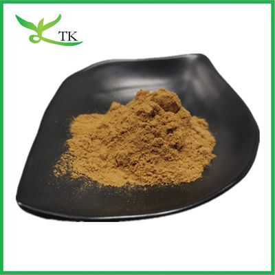 Mejor precio 100% extracto natural de bayas de árboles castos extracto de bayas de chasteberry en polvo 10:1