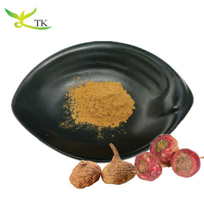 Extracto de Maca en Polvo 100% Natural Extracto de Maca en Polvo 10:1 Para el Cuidado de la Salud masculina