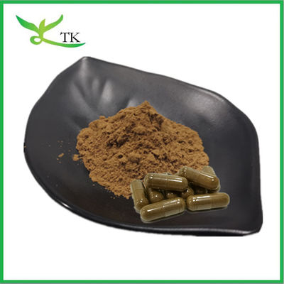Extracto de plantas naturales en polvo Extracto de aswagandha 10:1 Extracto de raíz de aswagandha