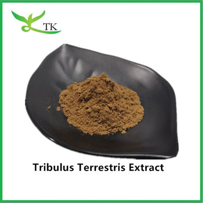 Mayorista Mejor Precio 100% Extracto de Tribulus Terrestris natural en polvo Saponina 40%