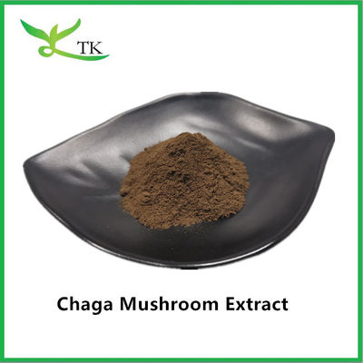 Suplemento natural de salud Extracto de hongo extracto de chaga polvo de chaga polisacárido 20%