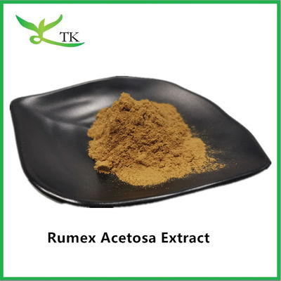 Precio al por mayor Extracto de hierbas naturales al 100% Rumex Acetosa L. Extracto en polvo