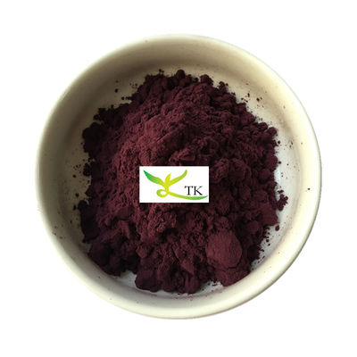 Extracto de grosella negra 100% natural de grado alimenticio Extracto de grosella negra en polvo 10:1
