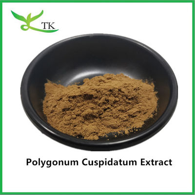 Extracto de plantas naturales puras de la nodularía gigante Polygonum cuspidatum Extracto de resveratrol 20%