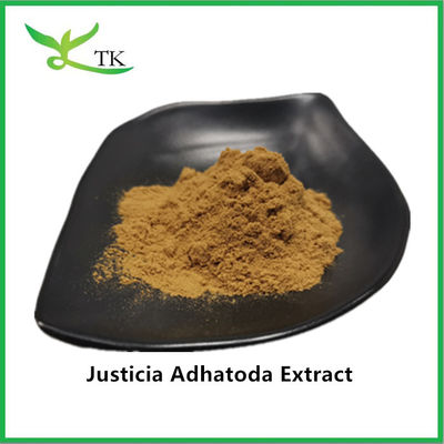 100% natural Justicia Adhatoda extracto de polvo Adhatoda extracto de vasica 10:1