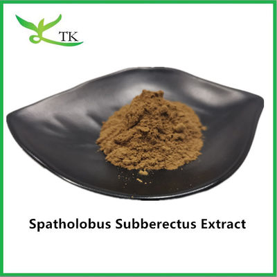 Extracto 100% natural de Caulis spatholobi en polvo Extracto de Spatholobus suberectus