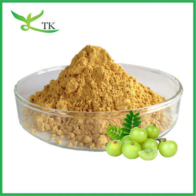 Mejor precio de grado alimenticio extracto de grosella india en polvo extracto de fruta amla