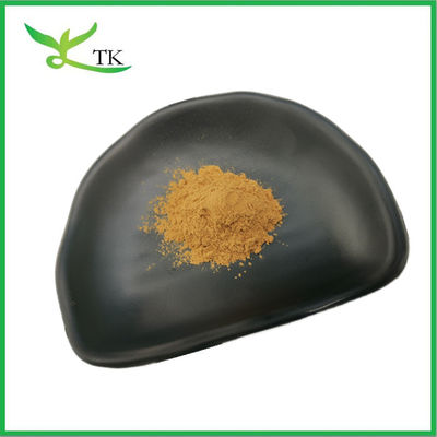 Grado alimenticio Extracto de germen de trigo natural en polvo 10:1 20:1 a granel
