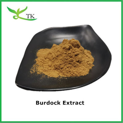 Extracto botánico natural puro Extracto de raíz de burdoca Extracto 4:1 Extracto de burdoca