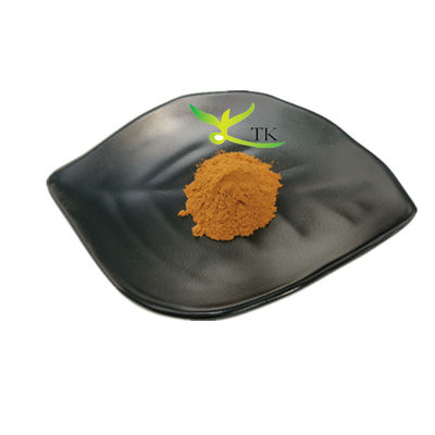 Extracto de hierbas naturales Vitex Agnus Castus Extracto de Vitex Agnus Castus Precio en polvo