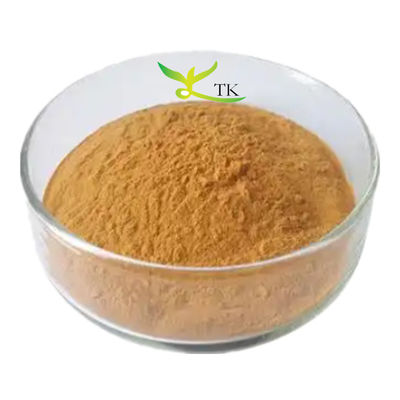 Precio al por mayor Extracto de Verbascum Thapsus 100% natural en polvo 10:1