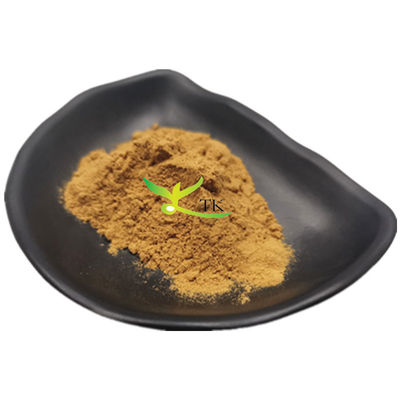 Extracto de hierbas naturales de hoja de arándano Extracto de hoja de arándano en polvo Precio