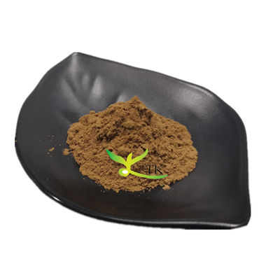 Fucoidano natural en polvo Extracto de algas marinas marrones Precio del fucoidano