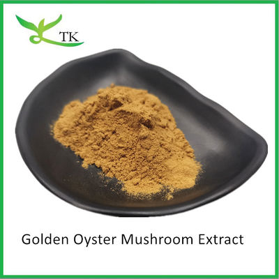 Suplemento de hongo natural Pleurotus Citrinopileatus Extracto de hongo de ostras doradas en polvo