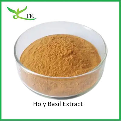 Grado alimenticio natural Extracto de albahaca sagrada en polvo Extracto de hojas de albahaca sagrada en polvo