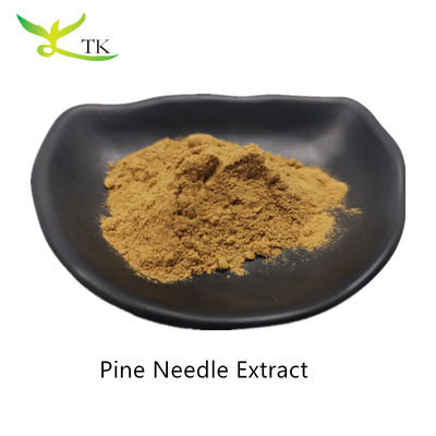 Extracto vegetal natural en polvo extracto de aguja de pino en polvo de grado alimenticio