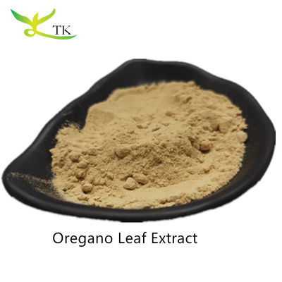 Precio mayorista Extracto de orégano 100% natural en polvo Extracto de hoja de orégano