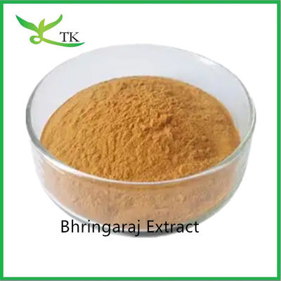 100% cuidado del cabello natural extracto de hoja de Bhringaraj Eclipta Alba extracto de polvo rey del cabello