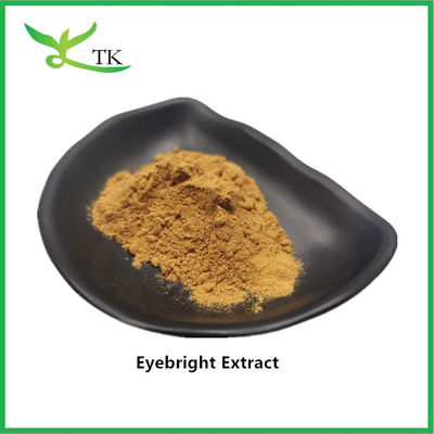 Grado alimenticio 100% extracto de eyebright natural en polvo Eyebright en polvo precio a granel