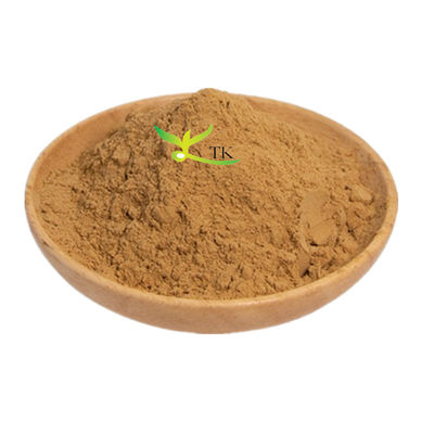 Extracto vegetal natural de Platycladus Orientalis Extracto de hojas en polvo para el cuidado del cabello