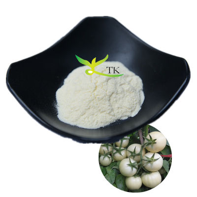 Venta caliente 100% Solanum natural Licopersicum polvo de tomate blanco 10:1 20:1