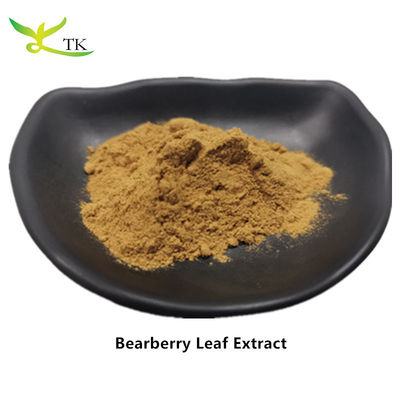 Extracto natural de plantas Extracto de hojas de arándano Extracto de hojas de arctostaphylos Uva ursi Extracto en polvo