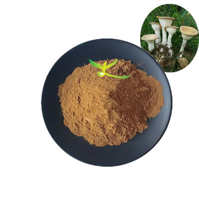 Grado alimenticio Extracto de hongo de leche de tigre de lignosus rinoceronte natural en polvo Polisacáridos 10% ~ 30%